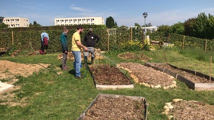Des fous fleuristes cultivent leur jardin sur le campus