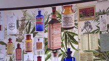 Cannabis museum celebrates legal weed in Uruguay[1]dsa