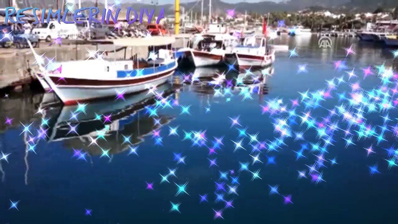 BALIKLARIN DANSI