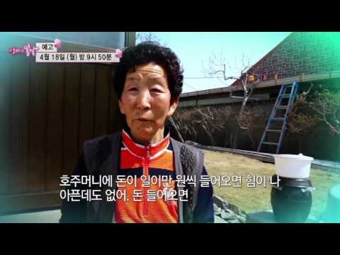 꼬부랑 상추여사 순애 씨의 특별한 외출_엄마의 봄날 38회 예고