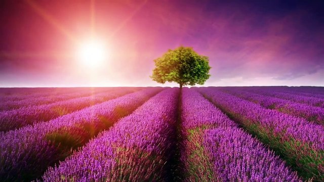 Beautiful Romantic Music: Relaxing Music, Guitar Music, Violin Music, Cello Music, Piano Music ★103 part 4/4