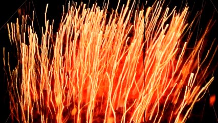 This Is A Mouse Brain At Work