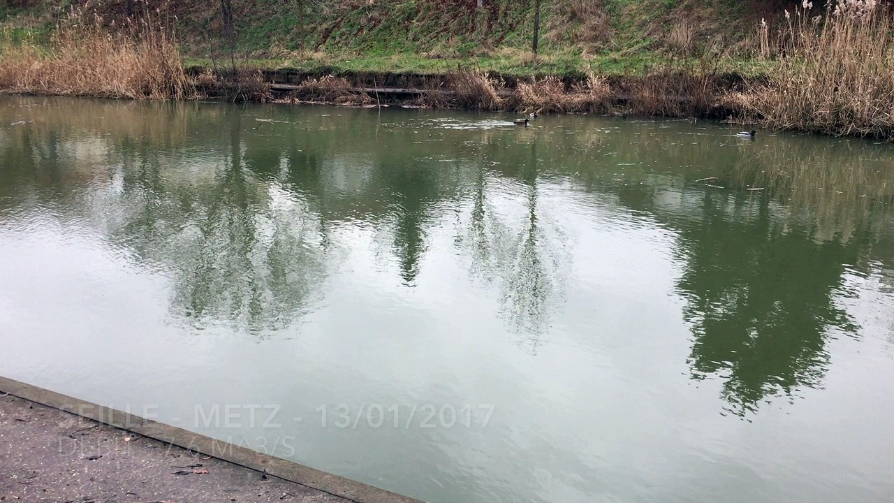 Seille - Metz - 13/01/2017