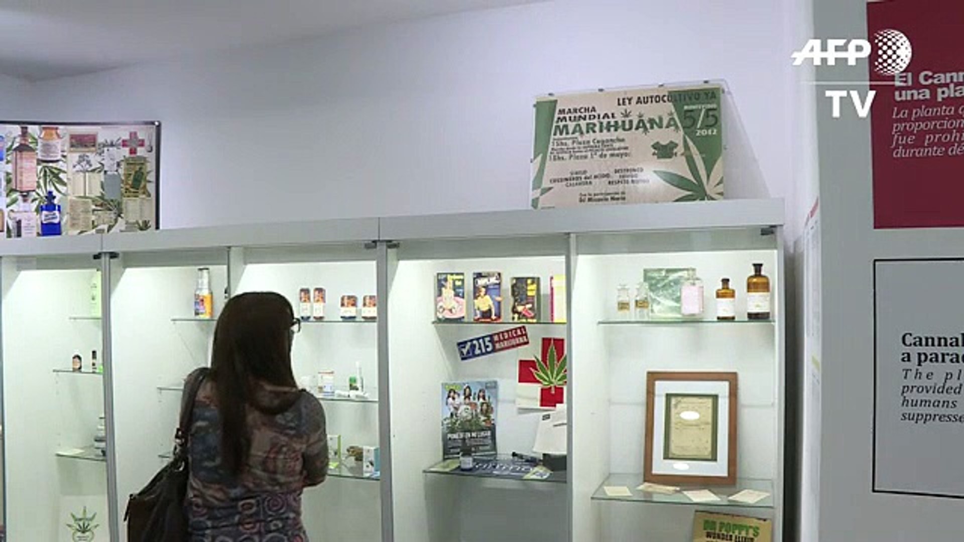 ⁣Cannabis museum celebrates legal