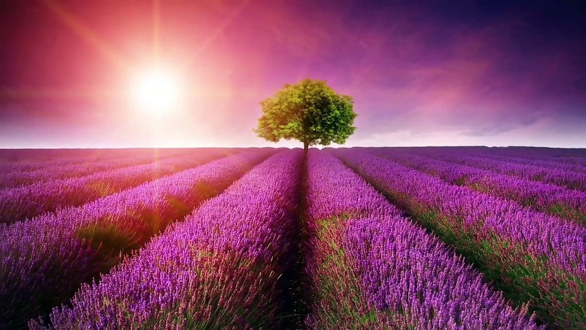 Beautiful Relaxing Music: Japanese Music, Chinese Music, Romantic Music, Meditation Music ★106 part 