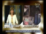 #هنا_العاصمة | مساعد وزير الخارجية للإعلام : خلية عرب شركس نفذت ما يقرب من 40 عملية إرهابية