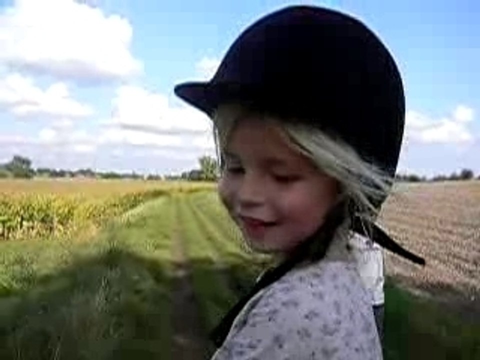 Fillescheneviereponey