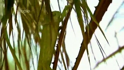 My Holiday Hostage Hell - Kidnapped By Al-Aeda