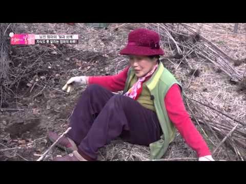 자식도 못말리는 '일 중독'엄마! [엄마의 봄날] 36회 20160404