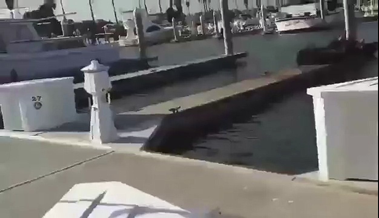Latest 2017 funny short clips and videos
