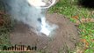 Casting a Field Ant Colony with Molten Aluminum (Cast #071)