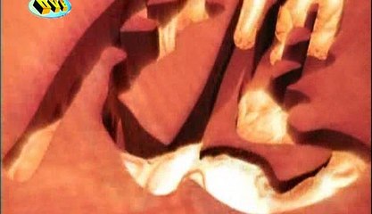 Anh Hùng Xạ Điêu 2003 Tập 31