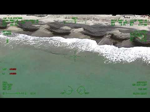 Multiple Sharks Spotted Off San Clemente Coast