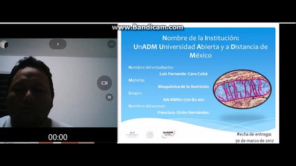 Resumen de la tesis: Función y biogénesis mitocondrial