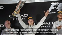 Formula One World cha nnounces shock retirement-luv