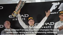 Formula One World champion Rosberg announces shock retirement-luvE
