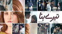 Geo Tv Drama Full OST - Tere Bina (Ni Saiyyo Assi Naina) - Asim Azhar & Sara Haider