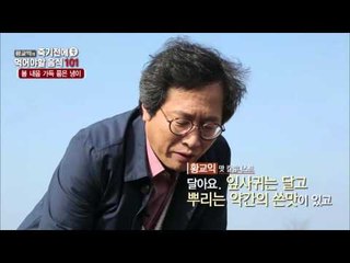 서산에 봄나물이 많은 이유는? [황교익의 죽기 전에 꼭 먹어야 할 음식 101] 17회 20160331