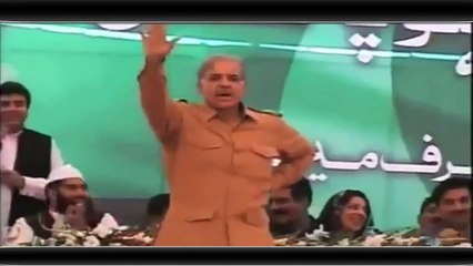 C.M punjab funny video