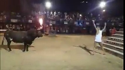 Funny Bull Fighting - Bull is Full of Rage.