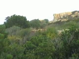 Tour de Corse Historique 2007