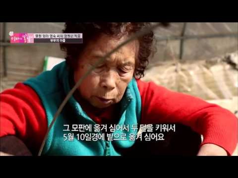 '당신을 위해' 혼자 농사짓는 엄마[엄마의 봄날] 35회 20160328