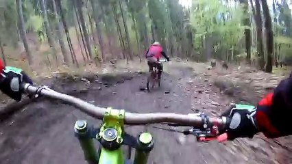 Slovacchia, sbuca l'orso e insegue il ciclista