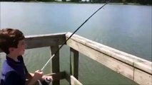 Alligator steals large fish from a kid, fisherman