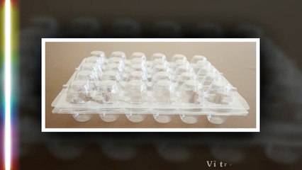 Top 10 khay nhựa thực phẩm đẹp bán chạy nhất Tân Bắc Hải