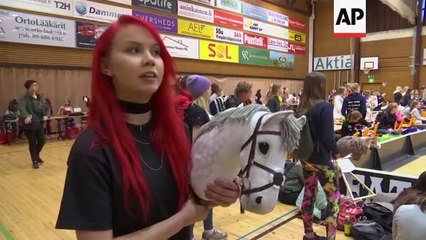 Finns compete in annual hobby horse championship