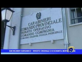 San Nicandro Garganico  | Investe un cinghiale e si schianta, muore 28enne
