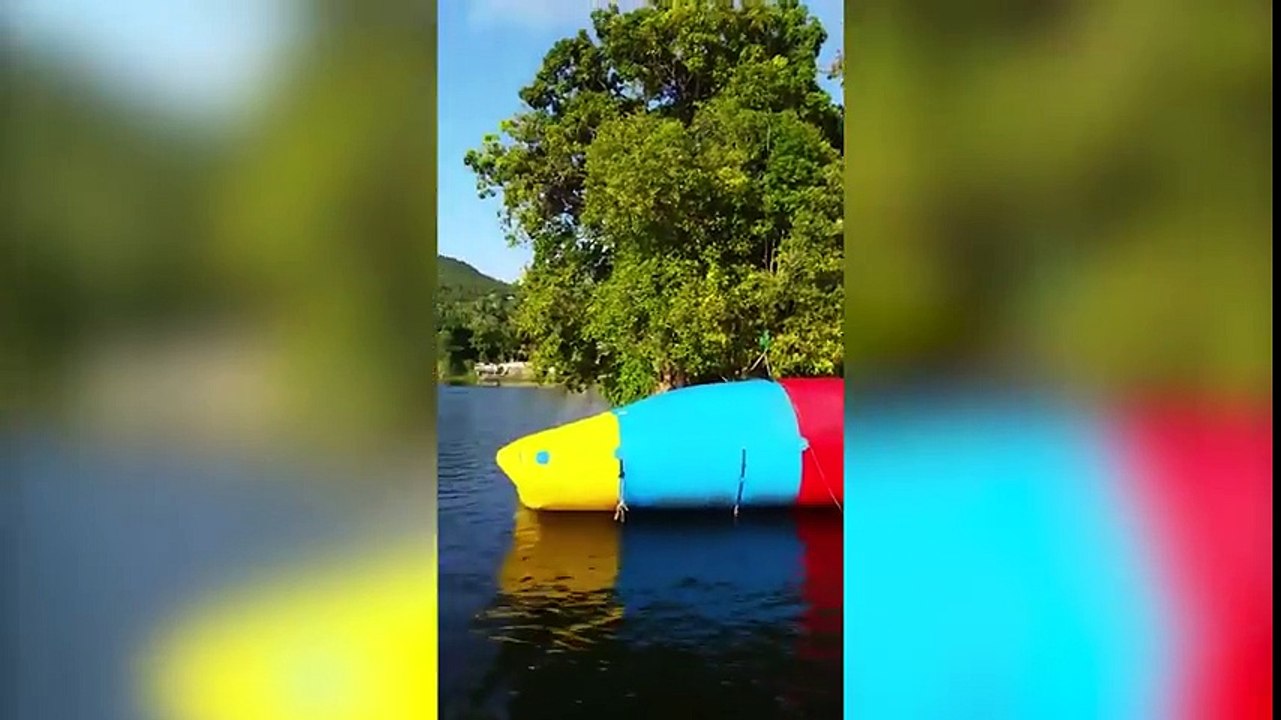 Best Fails of January - Week 3 2017   Funny Fail Compilation