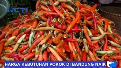 Harga Cabai Naik 100% Jelang Bulan Ramadhan