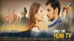 HUM TV Drama - Dil e Jaanam OST - Koi Na Aisa Ishq Kre - Rajab Ali