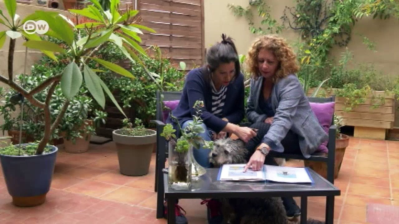 Wale in spanischer Gefangenschaft | DW Deutsch