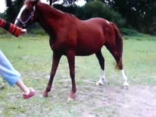 jambette