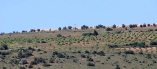 YPG'nin Yeni Oyunu! Suriye Sınırına Rus Bayrağı Çekildi