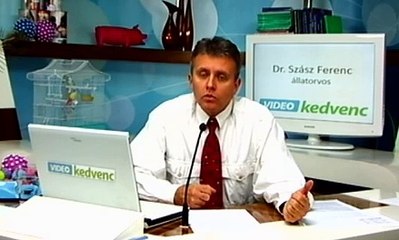 Nem kívánt vemhesség a kutyusnál meddig lehet beavatkozni