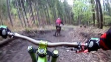 Urso persegue ciclistas numa prova de BTT