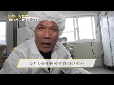쇠비름이 건강식품으로 만들어지는 과정~! [황금열쇠] 13회 20160325