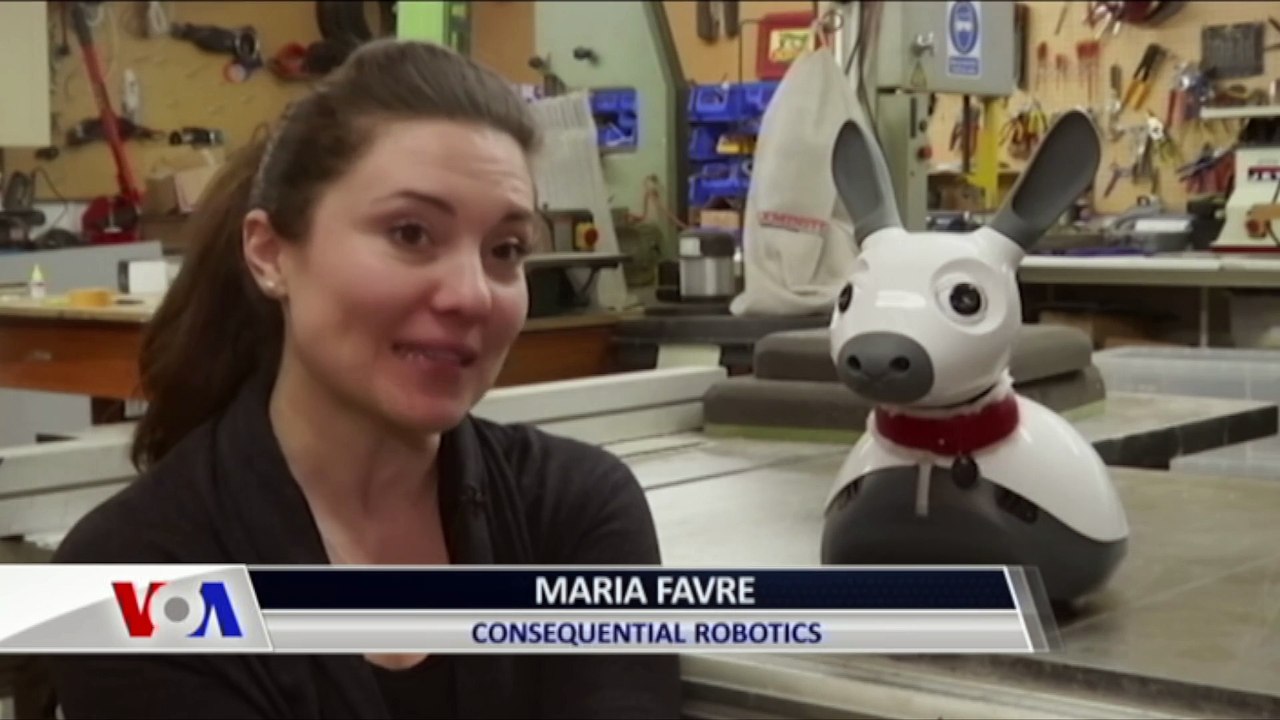 Yaşlılar ve Engellilere Arkadaş Olabilecek Robot Hayvan