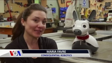 Yaşlılar ve Engellilere Arkadaş Olabilecek Robot Hayvan