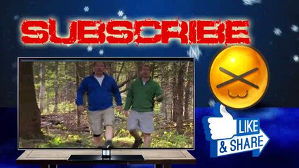 Wild Kratts - Mystery of the Weird Looking Walrus