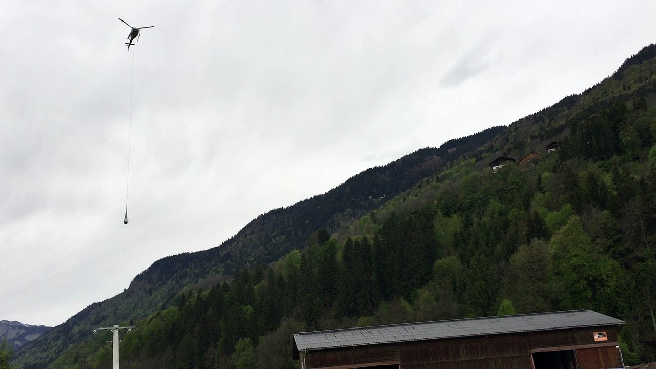 sauvetage vache verchaix