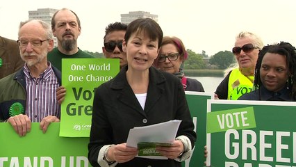 Green party unveils environment manifesto