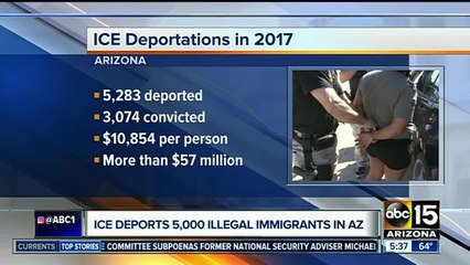 What's the cost of deporting undocumented immigrants?