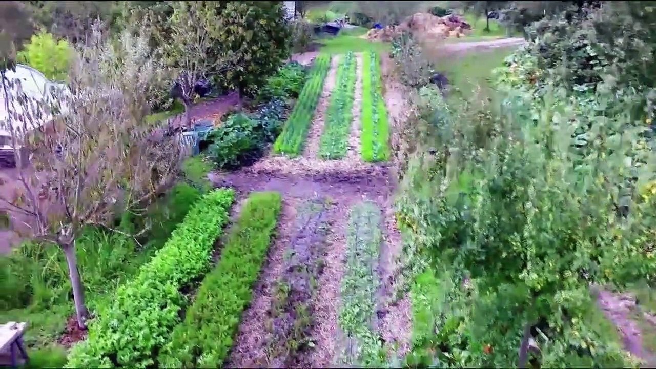 Permaculture