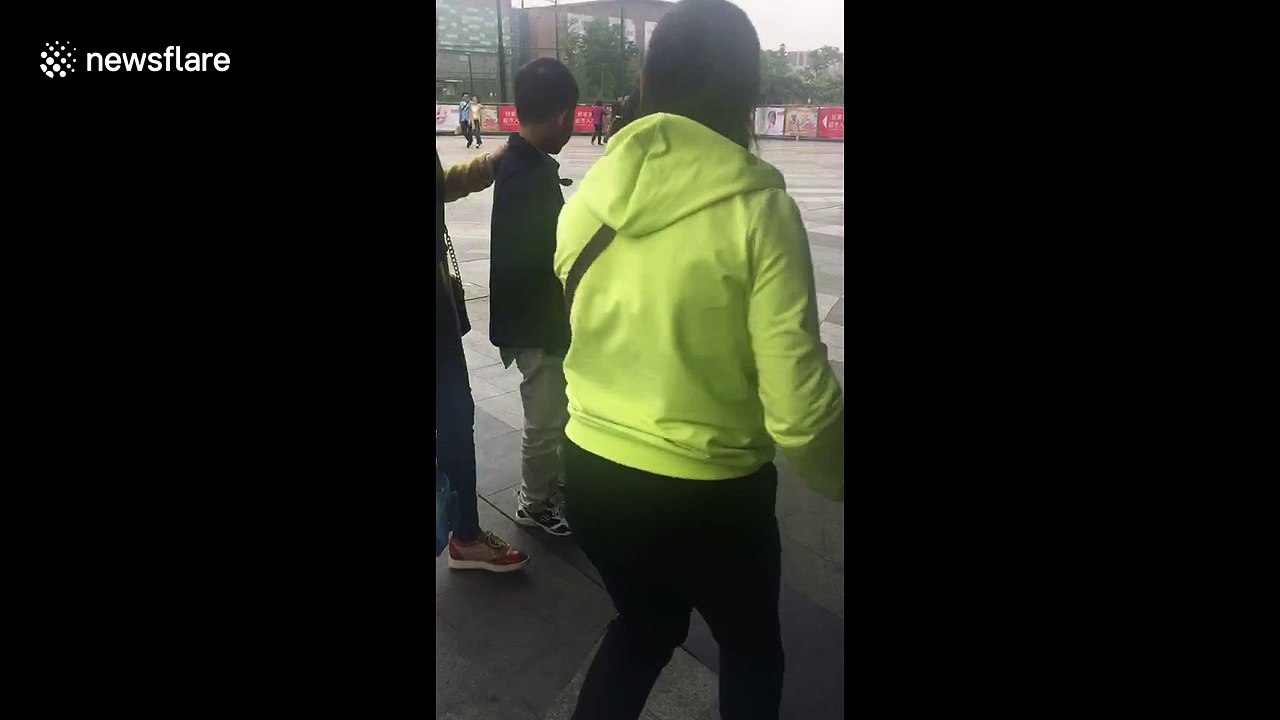 Poodle dressed and walking like a human filmed at Chinese theme park