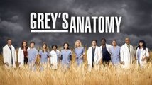 Grey's Anatomy Season 13 Episode 23 (11/May/2017) Ep23 -True Colors- 