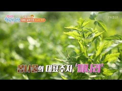 씻지 않고 먹는 자연의 미나리 맛! [행복한 저녁] 18회 20170511